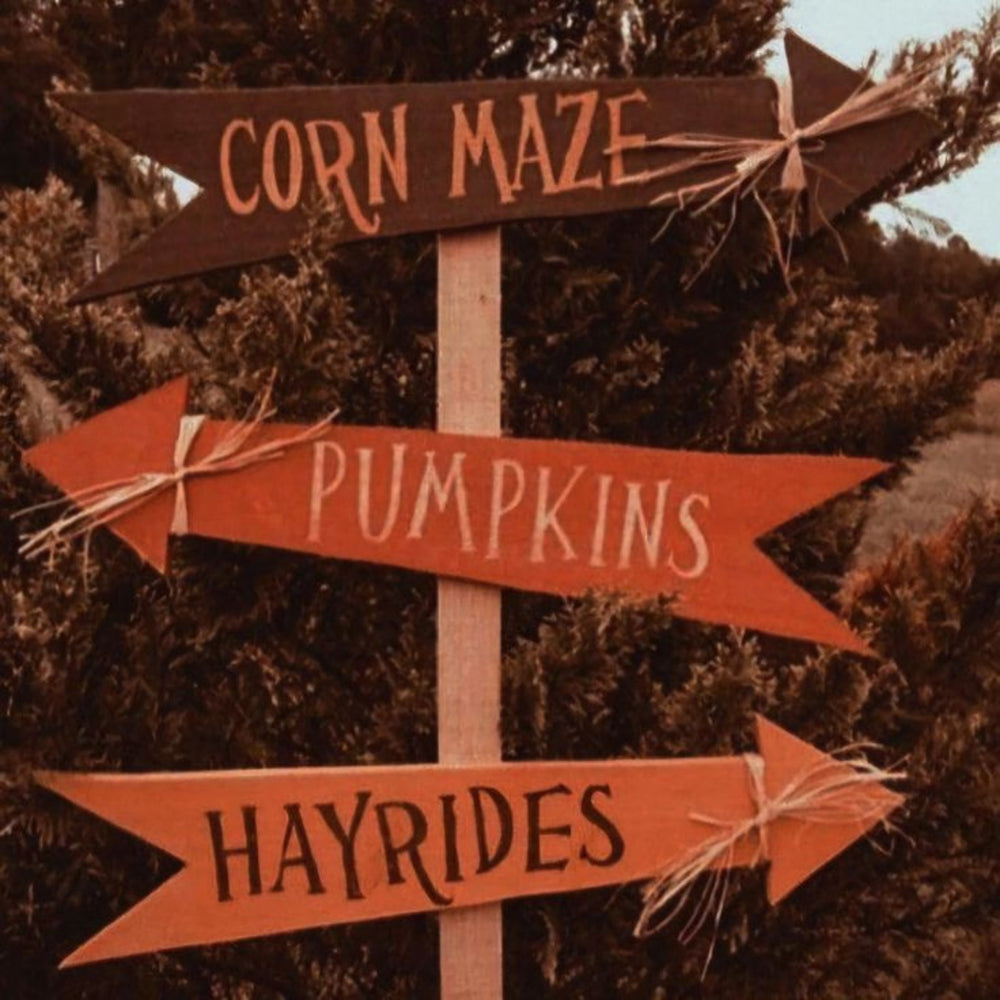 Rustic autumn signpost pointing to the corn maze, pumpkins, and hayrides